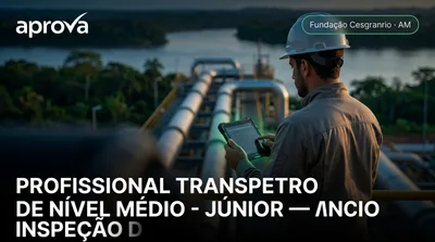 Capa: PROFISSIONAL TRANSPETRO DE NÍVEL MÉDIO - JÚNIOR — INSPEÇÃO DE EQUIPAMENTOS E INSTALAÇÕES
