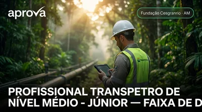 Capa: PROFISSIONAL TRANSPETRO DE NÍVEL MÉDIO - JÚNIOR — FAIXA DE DUTOS