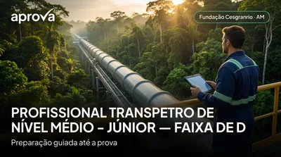 Capa: PROFISSIONAL TRANSPETRO DE NÍVEL MÉDIO - JÚNIOR — FAIXA DE DUTOS
