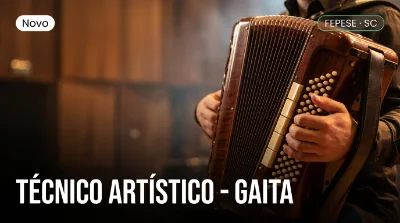 Capa: TÉCNICO ARTÍSTICO - GAITA
