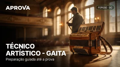 Capa: TÉCNICO ARTÍSTICO - GAITA